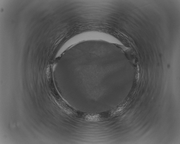 X0000081360560200702020143