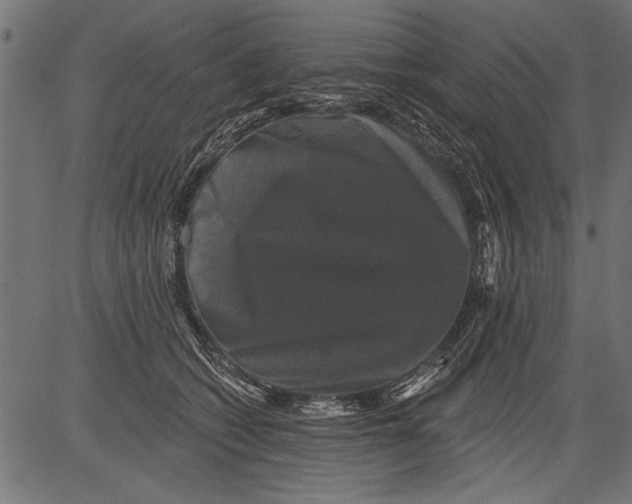 X0000081360562200702020143