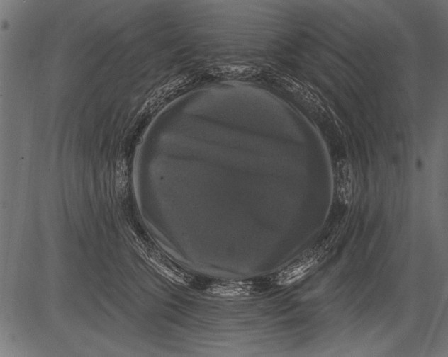 X0000081360563200702020143