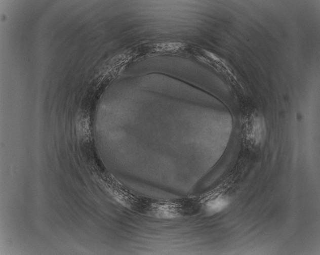 X0000081360564200702020143