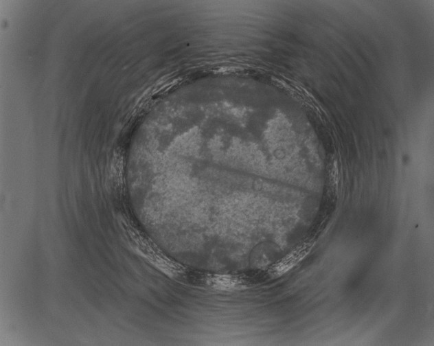 X0000081360565200702020143