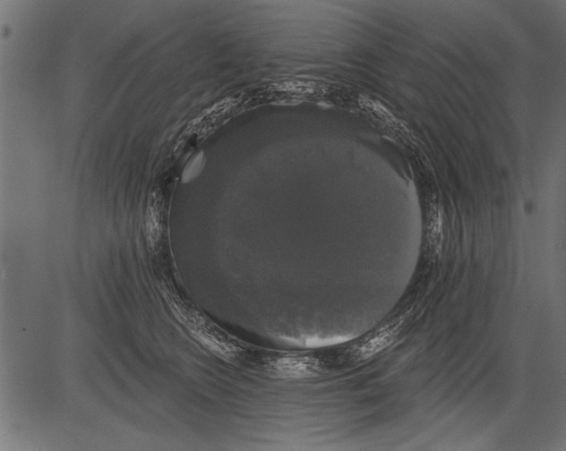 X0000081360566200702020143