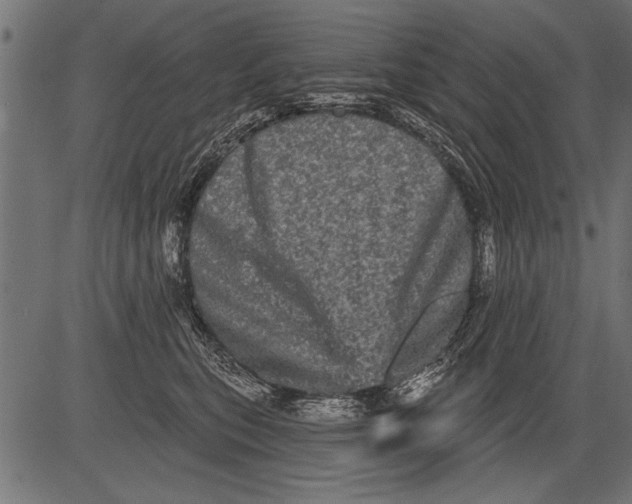 X0000081360567200702020143