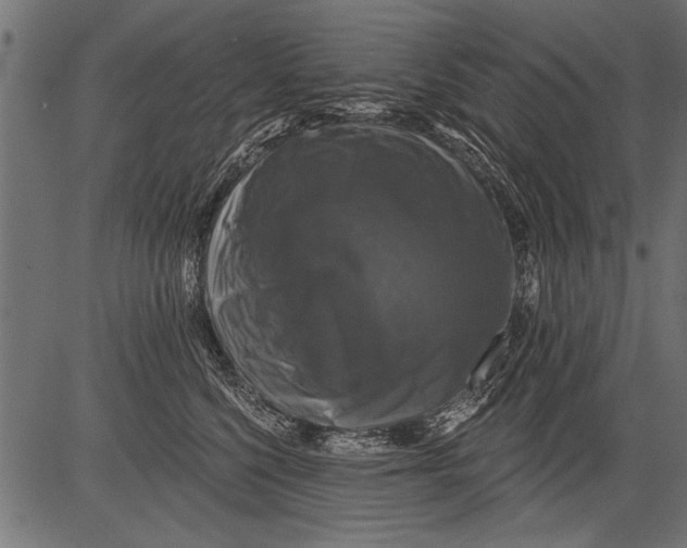 X0000081360568200702020143