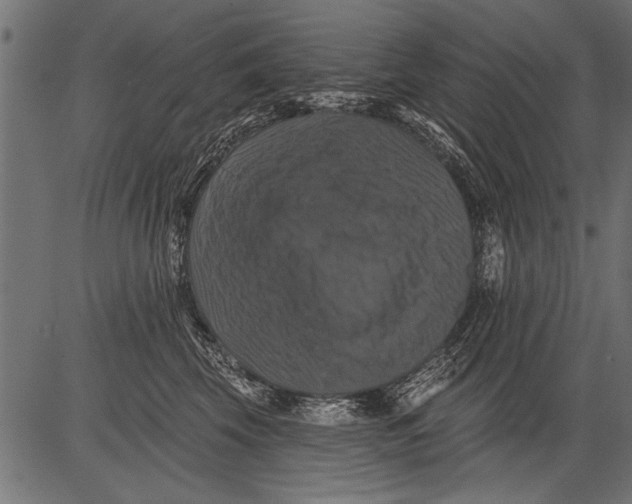 X0000081360569200702020143