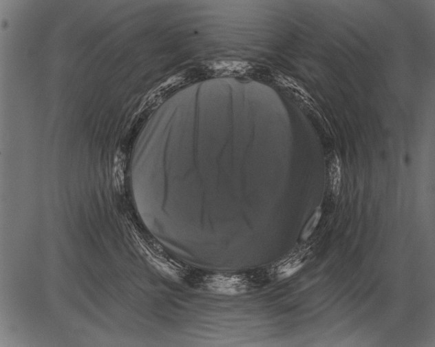 X0000081360570200702020143