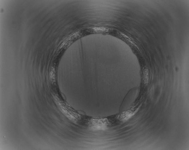 X0000081360571200702020143