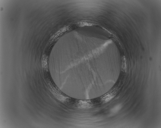 X0000081360573200702020143