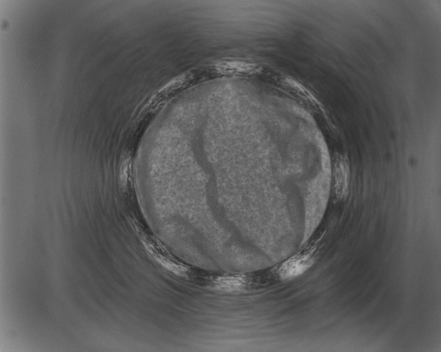 X0000081360574200702020143