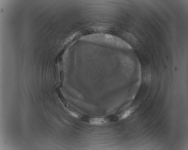 X0000081360575200702020143