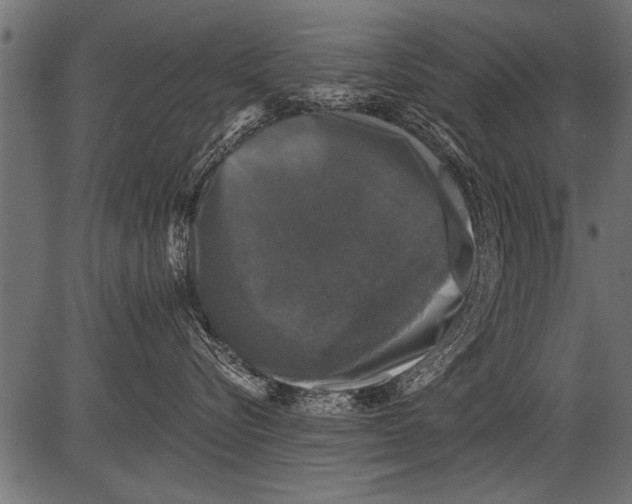 X0000081360576200702020143