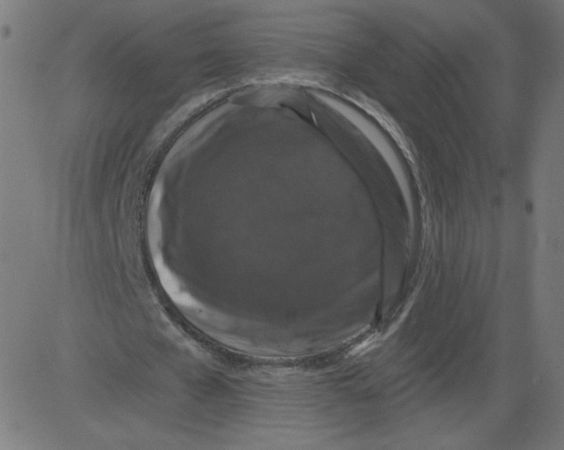 X0000081360577200702020142