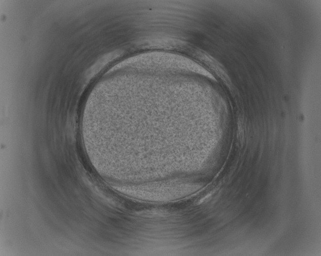 X0000081360578200702020142