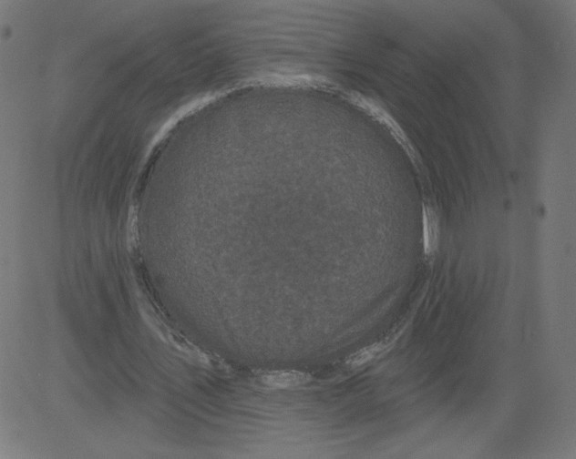 X0000081360579200702020142