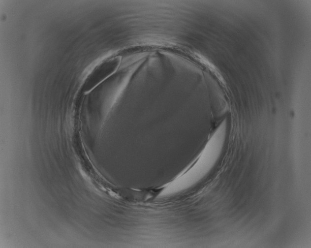 X0000081360580200702020142