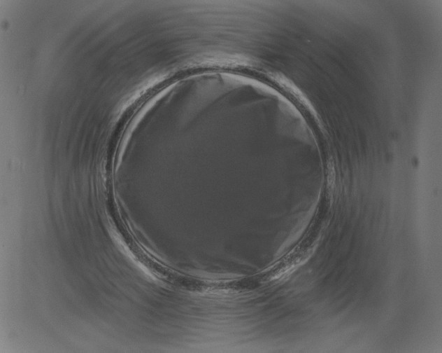 X0000081360581200702020142