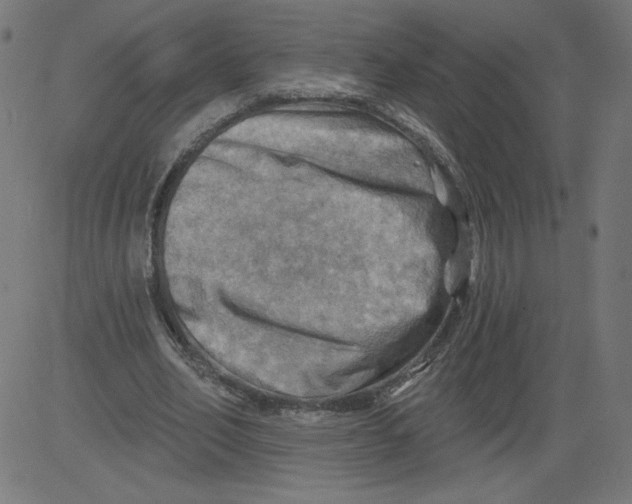 X0000081360582200702020142