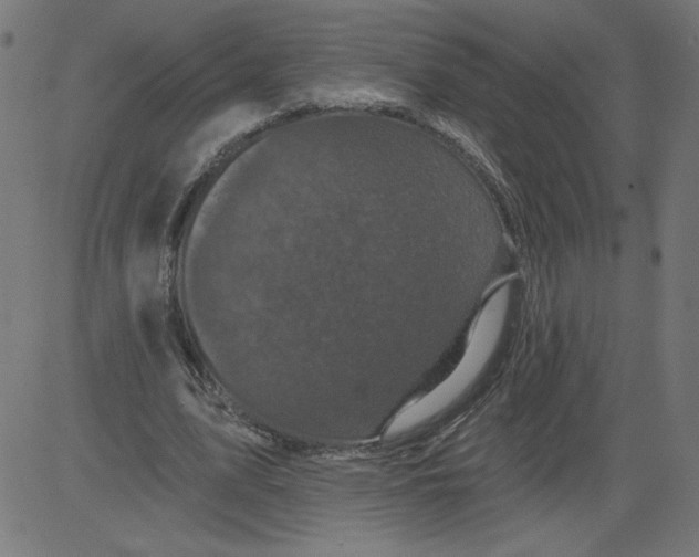 X0000081360583200702020142