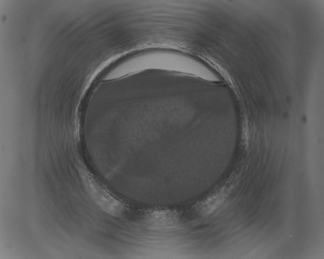 X0000081360584200702020142