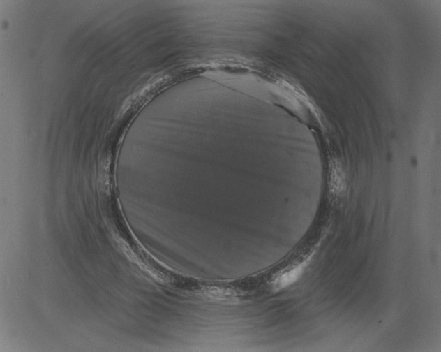 X0000081360585200702020142