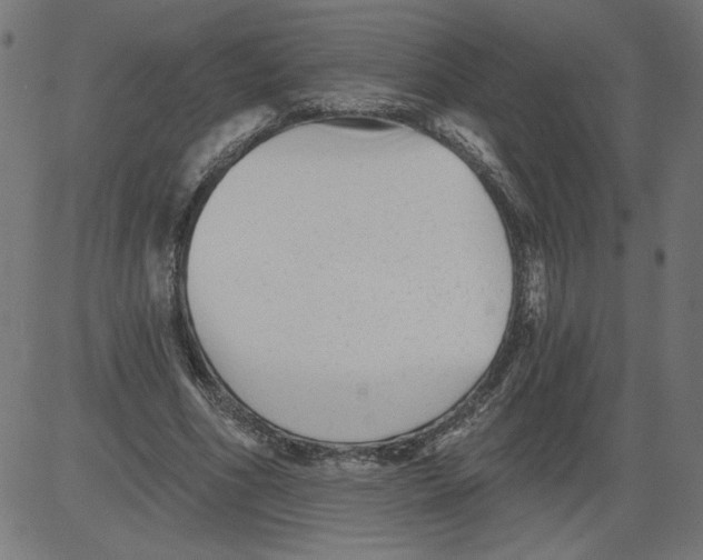 X0000081360586200702020142