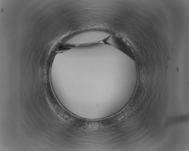 X0000081360587200702020142