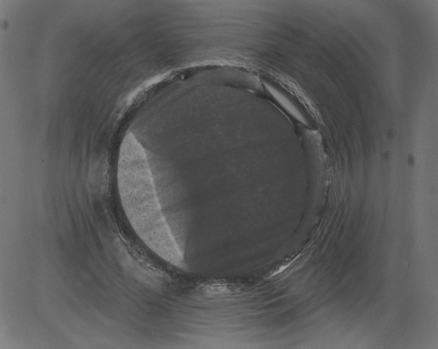 X0000081360588200702020142