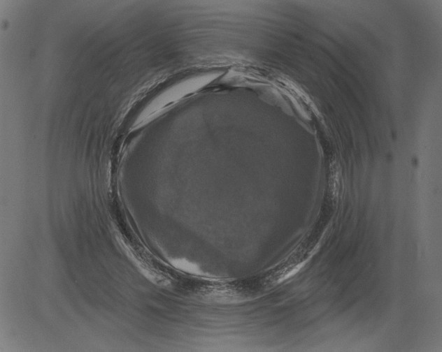 X0000081360589200702020142