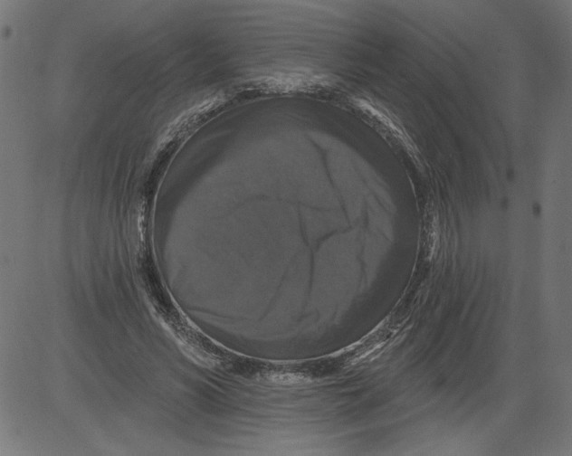 X0000081360590200702020142