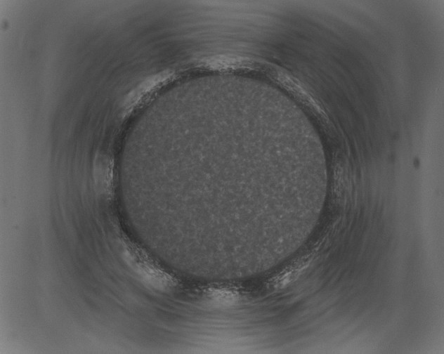 X0000081360592200702020142