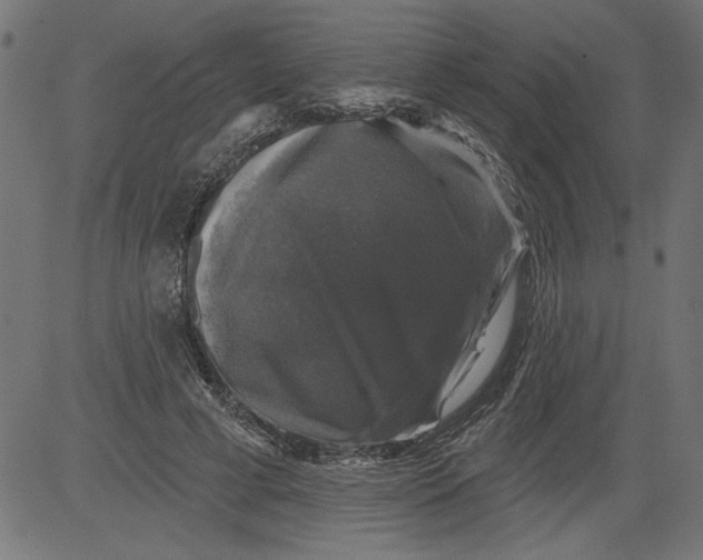 X0000081360593200702020142