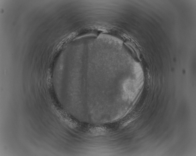 X0000081360594200702020142