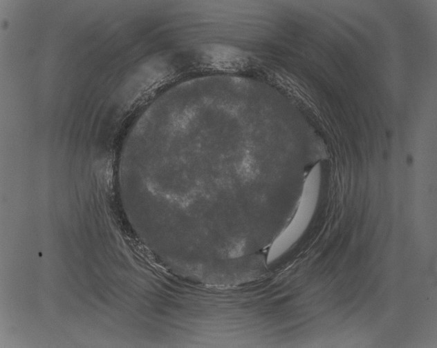 X0000081360595200702020142