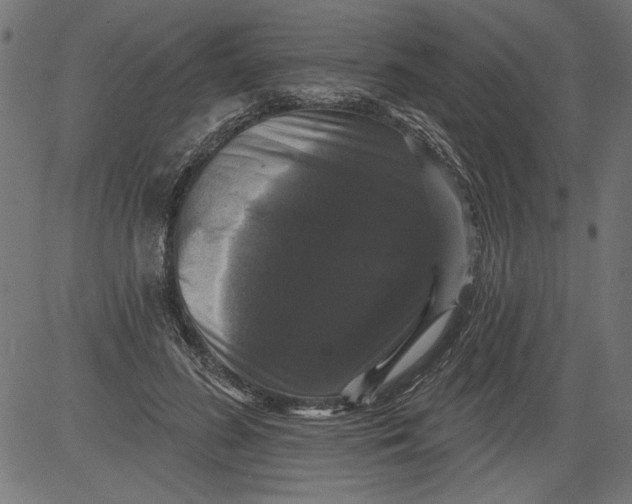 X0000081360596200702020142