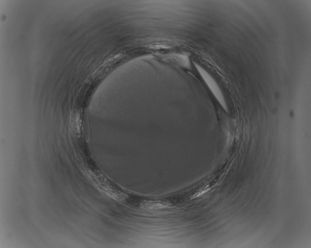 X0000081360597200702020142