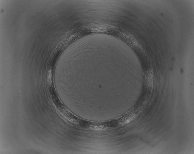 X0000081360598200702020142