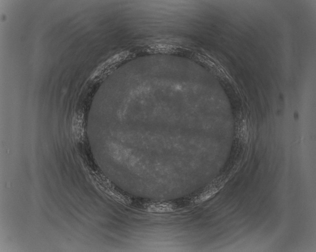 X0000081360599200702020142