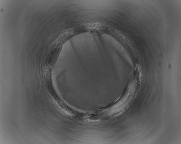 X0000081360601200702020142