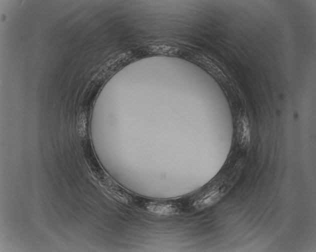 X0000081360602200702020142