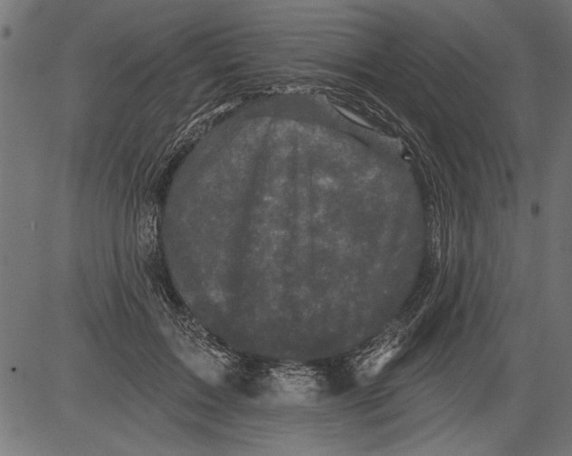 X0000081360603200702020142