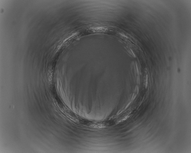 X0000081360604200702020142