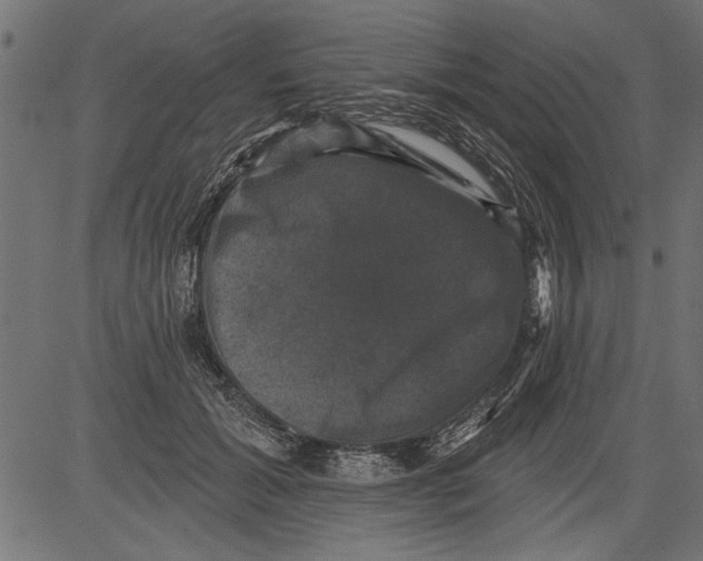 X0000081360605200702020142