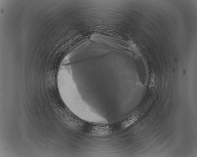 X0000081360606200702020142