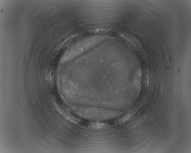 X0000081360607200702020142