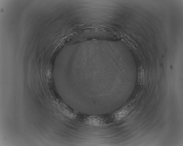 X0000081360608200702020142