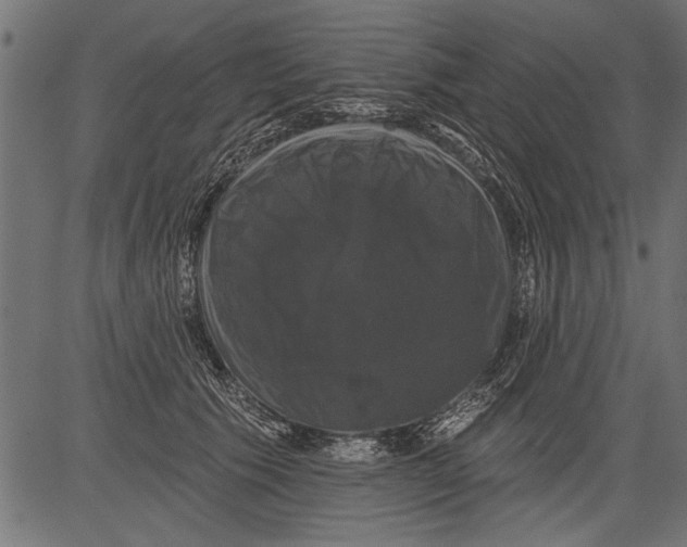 X0000081360609200702020142