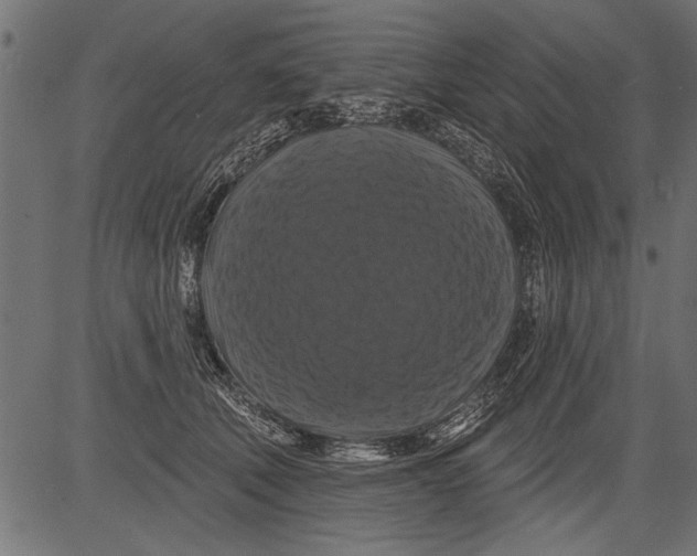 X0000081360610200702020142