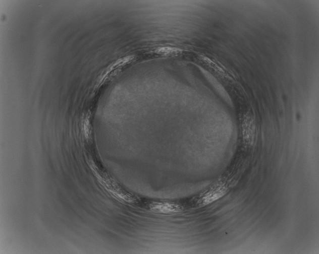 X0000081360611200702020142