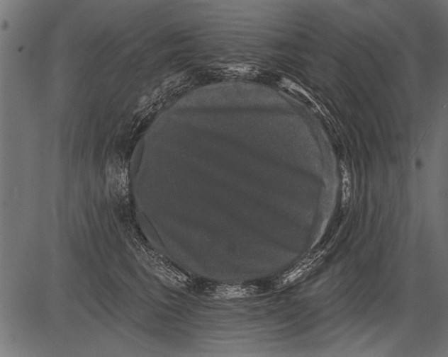 X0000081360613200702020142