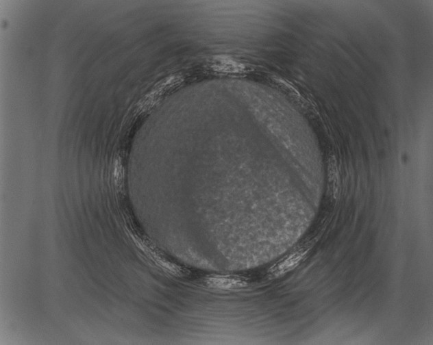 X0000081360614200702020142